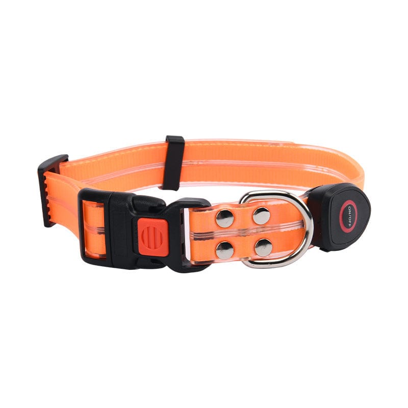 Laisse LED orange pour animaux de compagnie, idéale pour sécurité et visibilité nocturne.