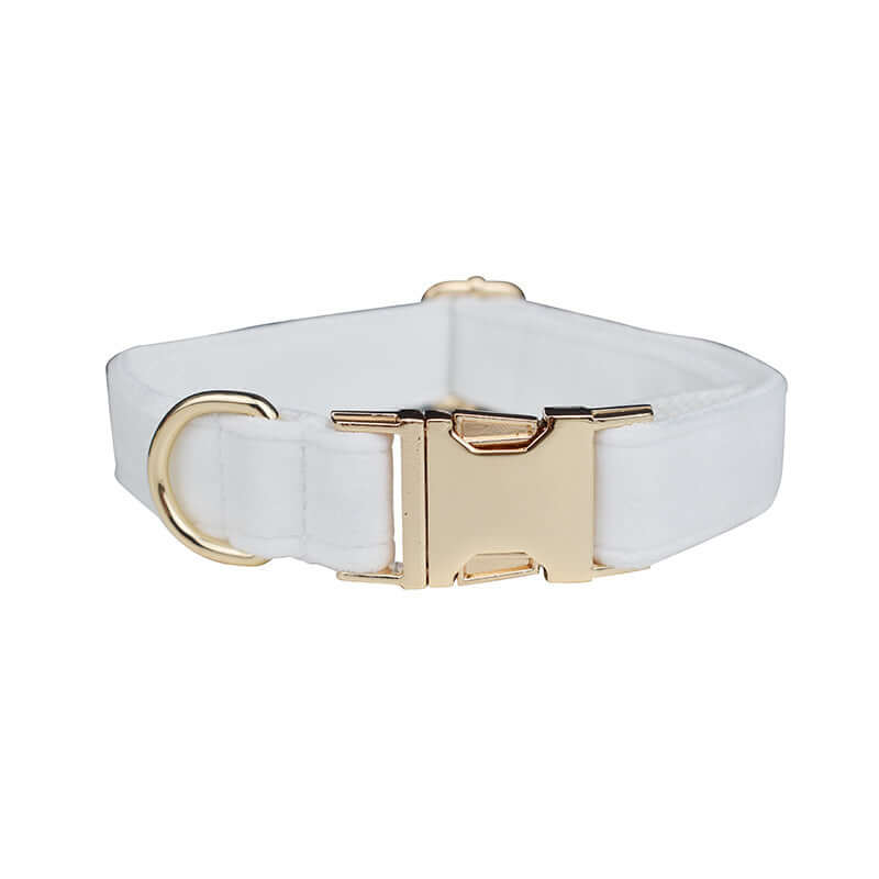 Collier en velours blanc pour chien, élégant et durable, avec boucle dorée et D-ring.