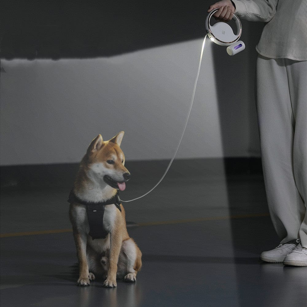 Laisse à chien rétractable avec éclairage automatique, offrant sécurité lors des promenades nocturnes.