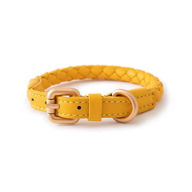 Collier en cuir jaune tressé pour grands chiens, avec boucle en métal, durable et élégant.