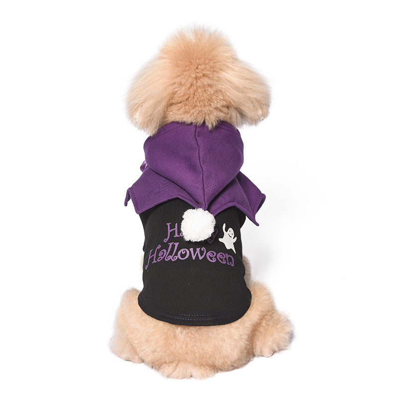 Chien portant un pull et châle Halloween en noir et violet, avec inscription Halloween.