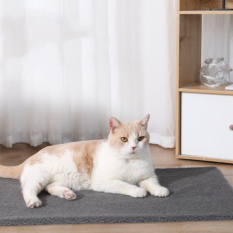 Couverture Auto-Chauffante pour Chien