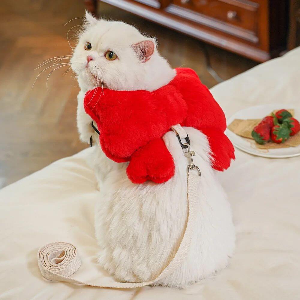 Chat portant un harnais rouge doux avec laisse, offrant style et confort pour les sorties.