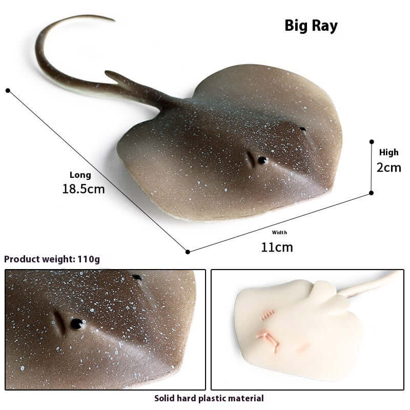 Modèle de poisson rayon en plastique, jouet cognitif pour enfants, dimensions 18.5cm x 11cm, poids 110g.