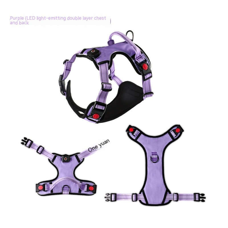 Harnais LED lumineux rechargeable pour chiens en violet, offrant sécurité et visibilité lors des promenades nocturnes.