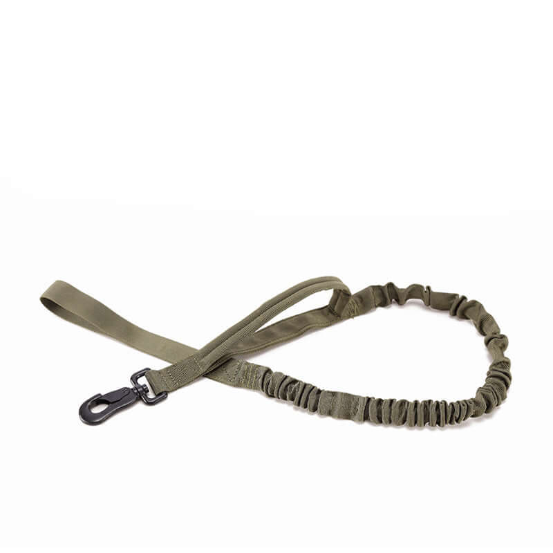 Laisse extensible en nylon pour chien, couleur olive, idéale pour le confort lors des promenades.