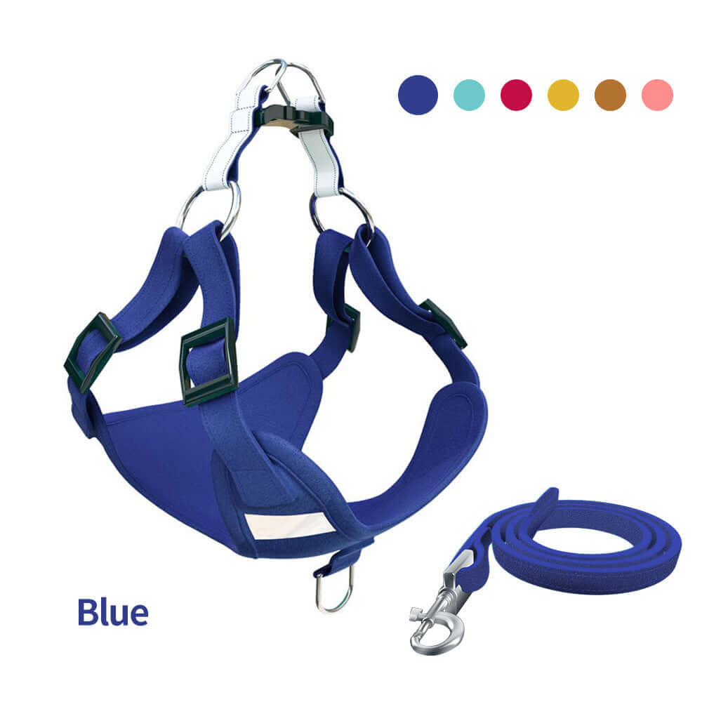 Gilet Chien bleu avec harnais réfléchissant et laisse, accessoire confortable et sécuritaire pour animaux.
