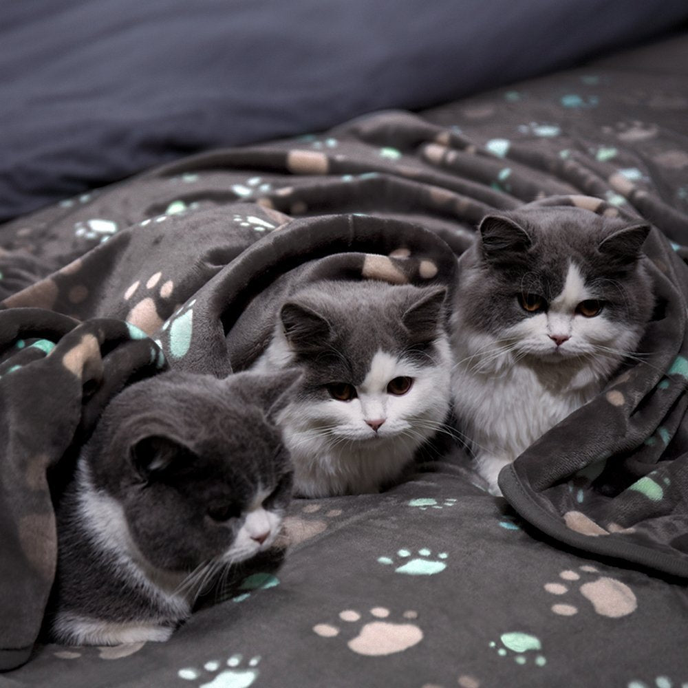 Couverture Douillette en Flanelle pour Chiens et Chats