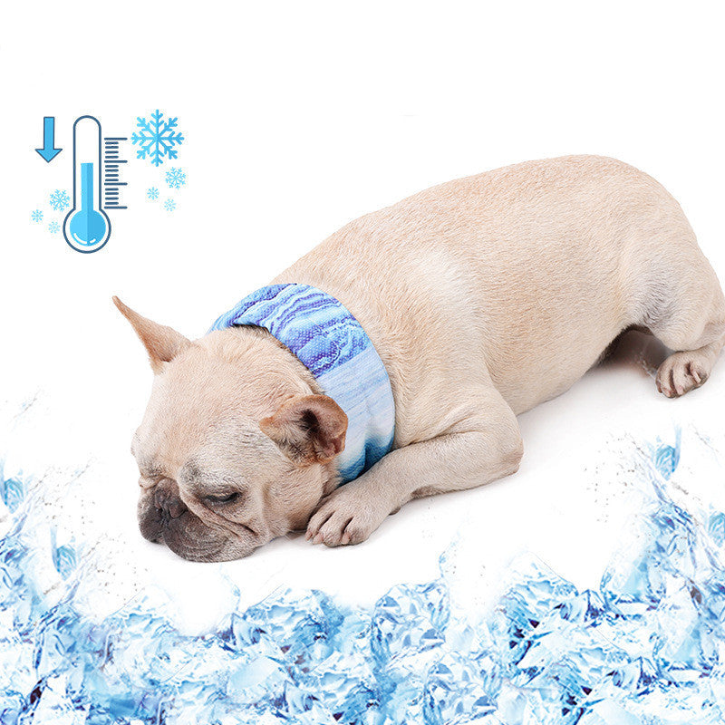 Chien se reposant avec une écharpe rafraîchissante bleue, offrant un soulagement contre la chaleur estivale.