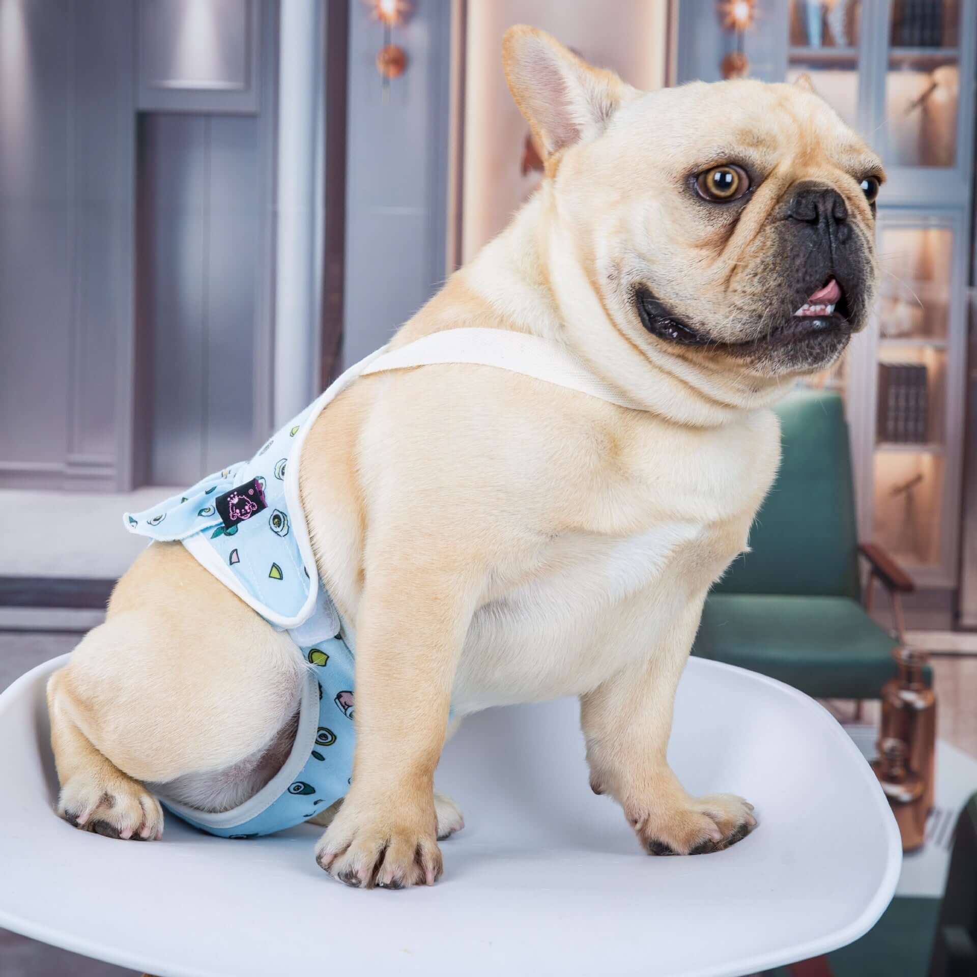 Pantalons physiologiques anti-harcèlement en coton pour pug, offrant un style décontracté et confort optimal.