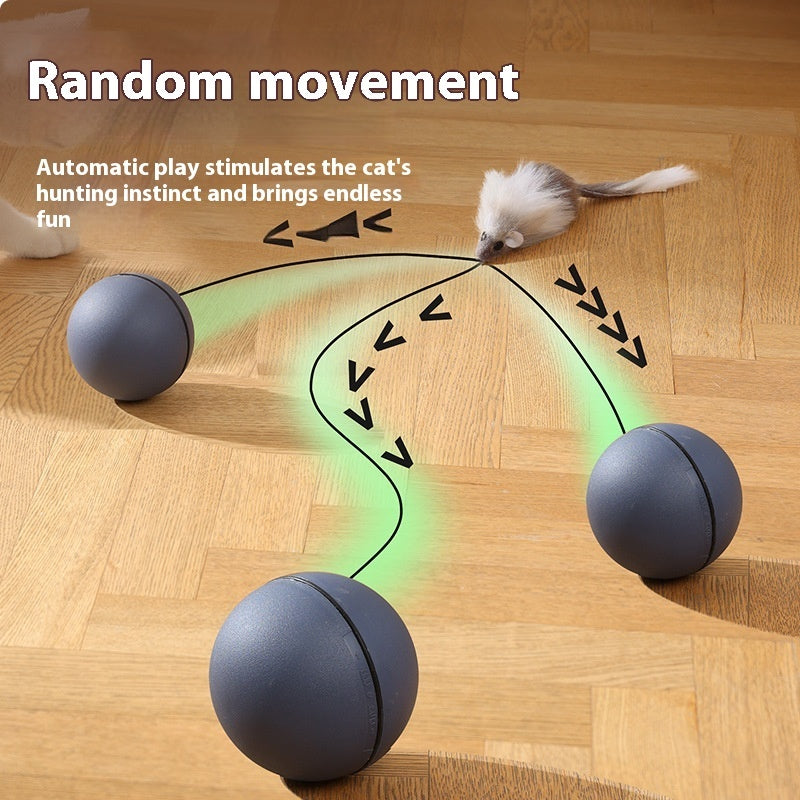 Balle Teaser Électrique pour Chats et Chiens