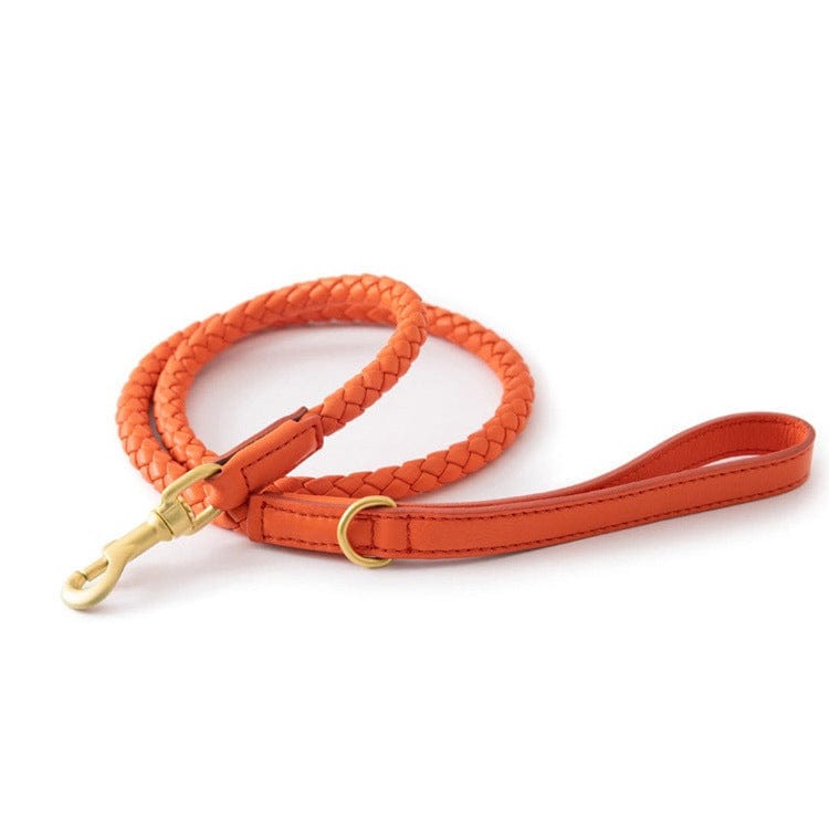 Laisse pour chien en cuir tressé orange avec fermoir en métal doré, idéale pour promenades et sécurité.