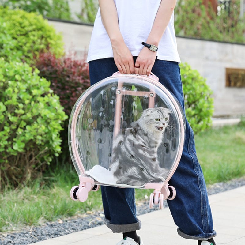 Sac à dos trolley transparent pour chats avec un chat à l'intérieur, parfait pour transporter votre animal avec style.
