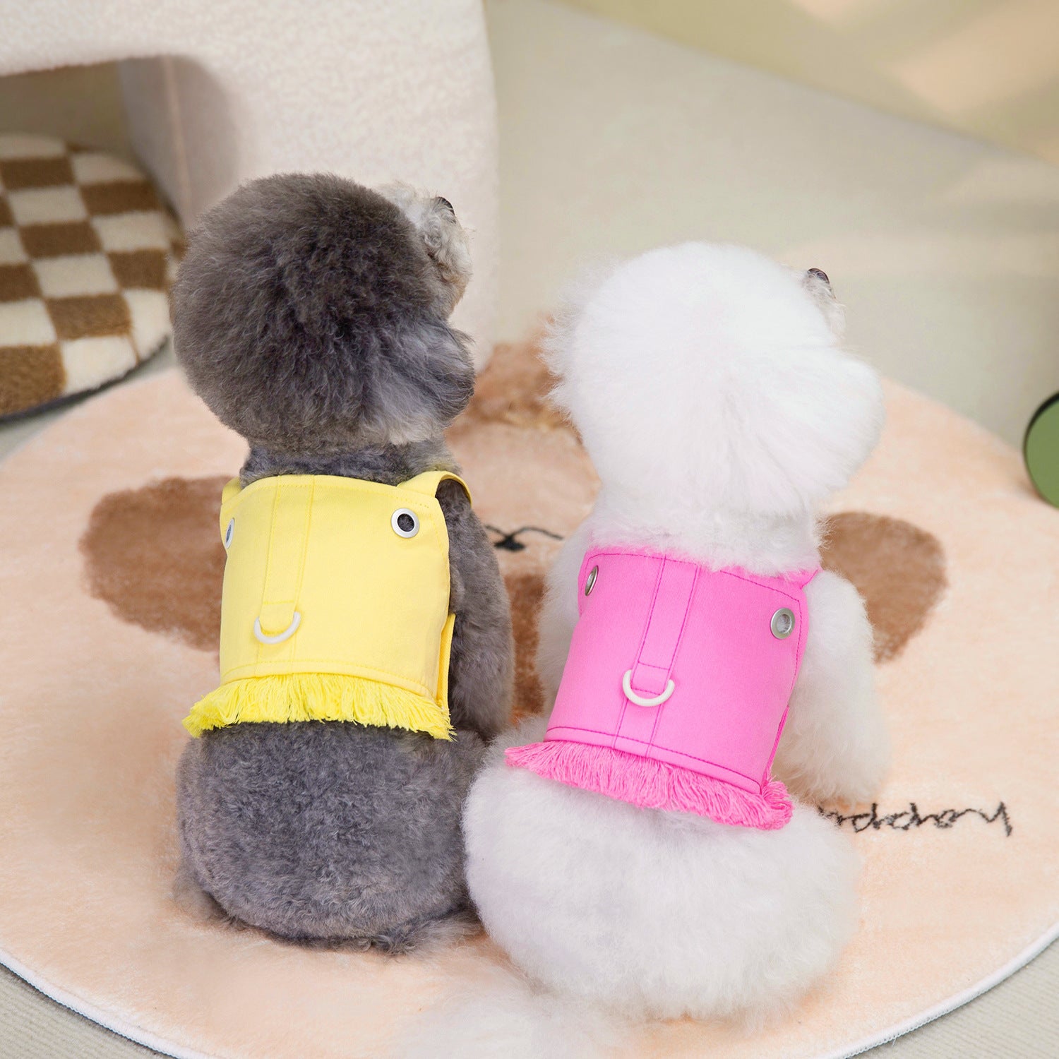 Deux chiens portant un harnais de traction personnalisé en jaune et rose sur un tapis moelleux.