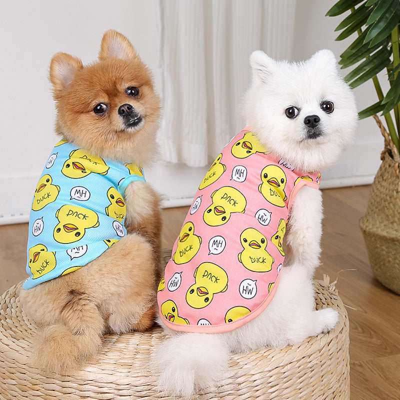Deux chiens poméraniens portant des vêtements de coton colorés avec des motifs de canard, assis sur un tapis.