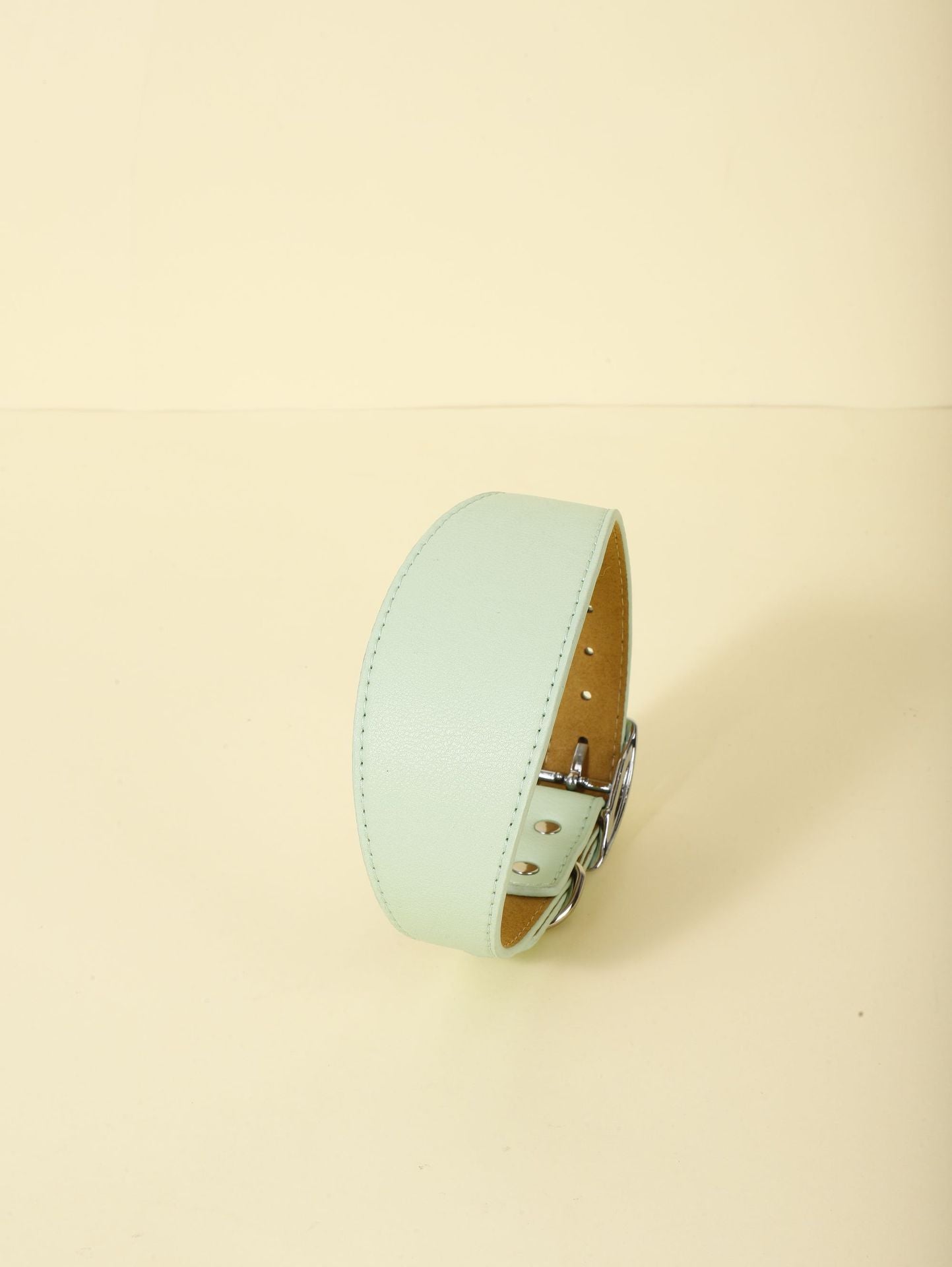 Collier ajustable décontracté pour animaux, en microfibre douce, couleur menthe, style chic et confortable.