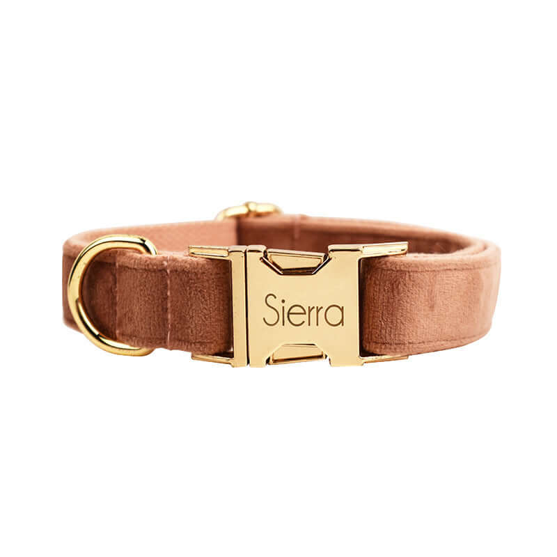 Collier en velours pour chien avec boucle dorée et inscription, design élégant pour animaux de compagnie.