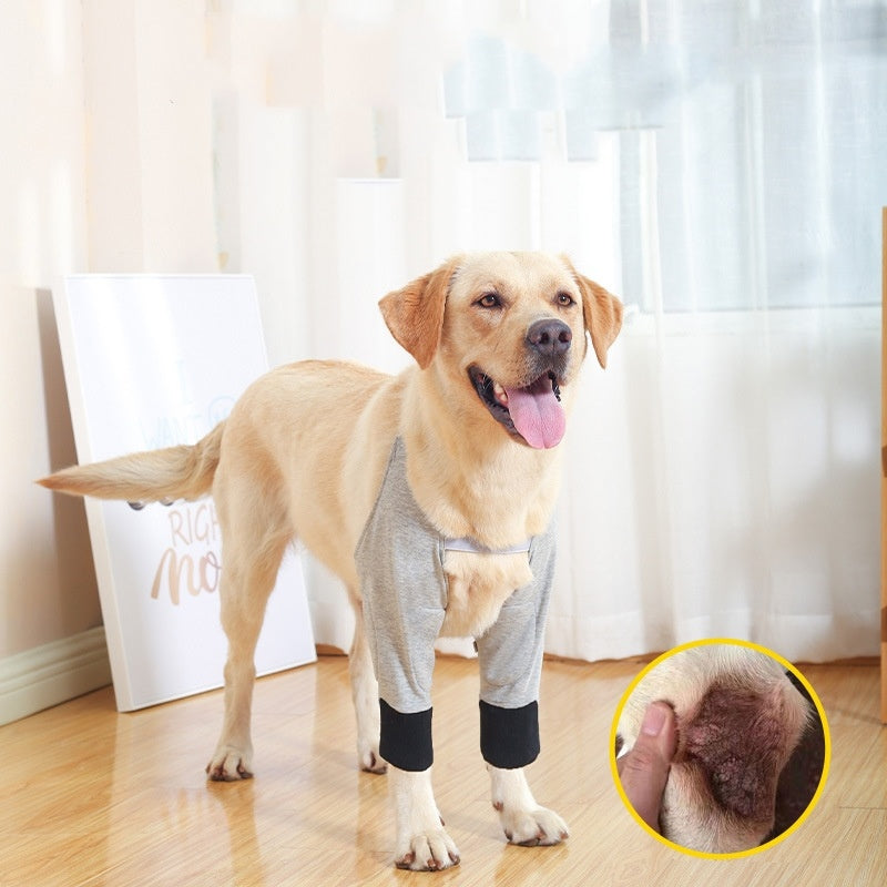 Chien heureux portant une genouillère grise et noire, offrant protection contre le froid et la chaleur.