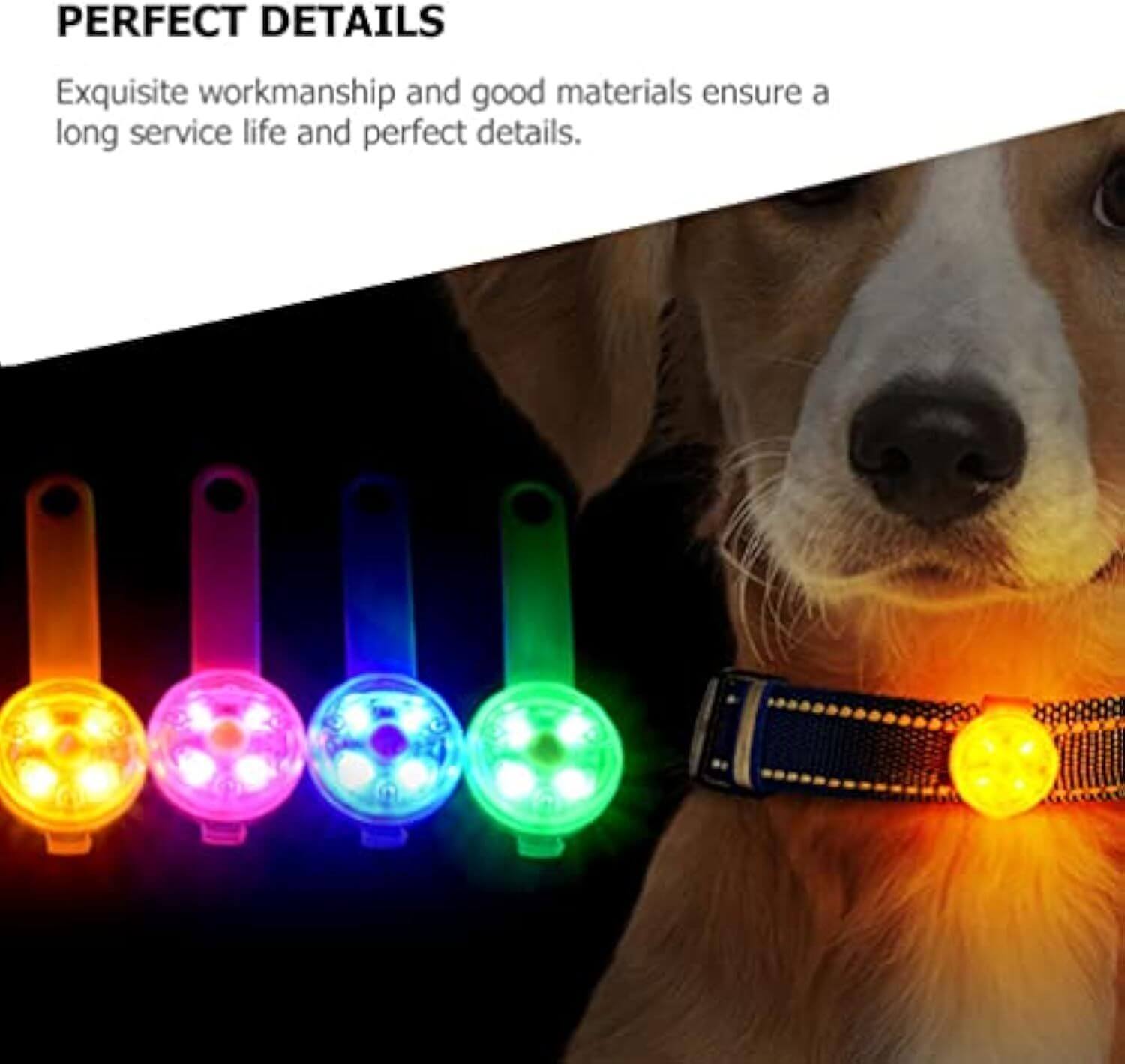 Pendentif lumineux pour animaux de compagnie, idéal pour la sécurité nocturne, avec des lumières colorées sur un collier.