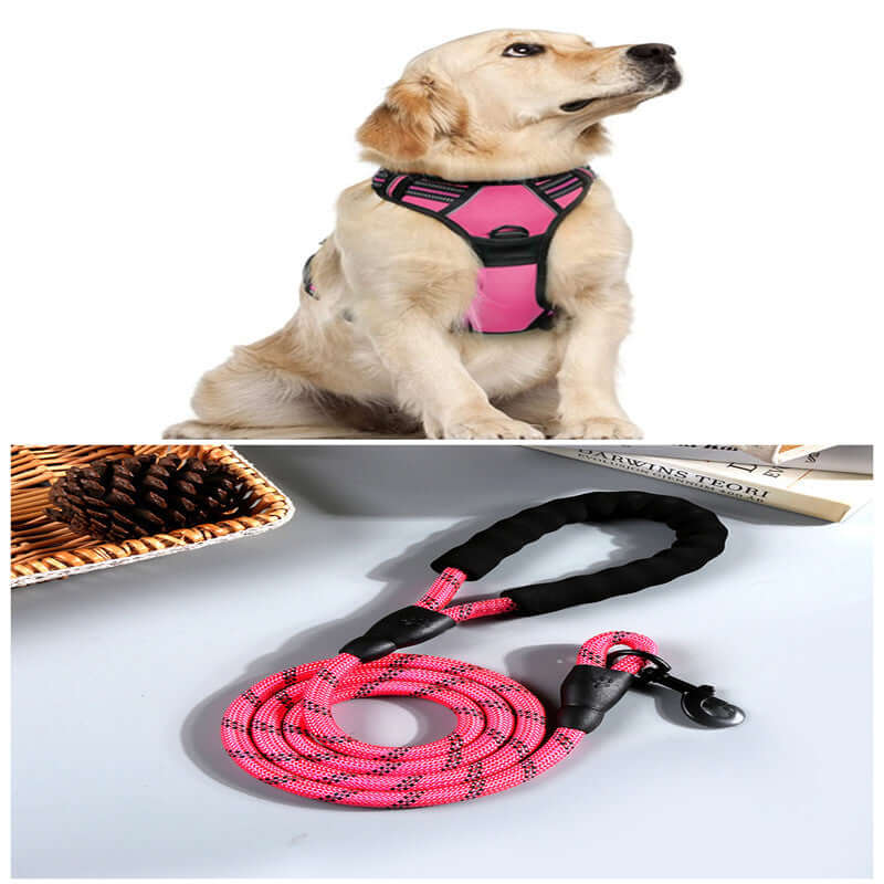 Gilet de chien rose confortable avec laisse en corde pour des promenades sécurisées.