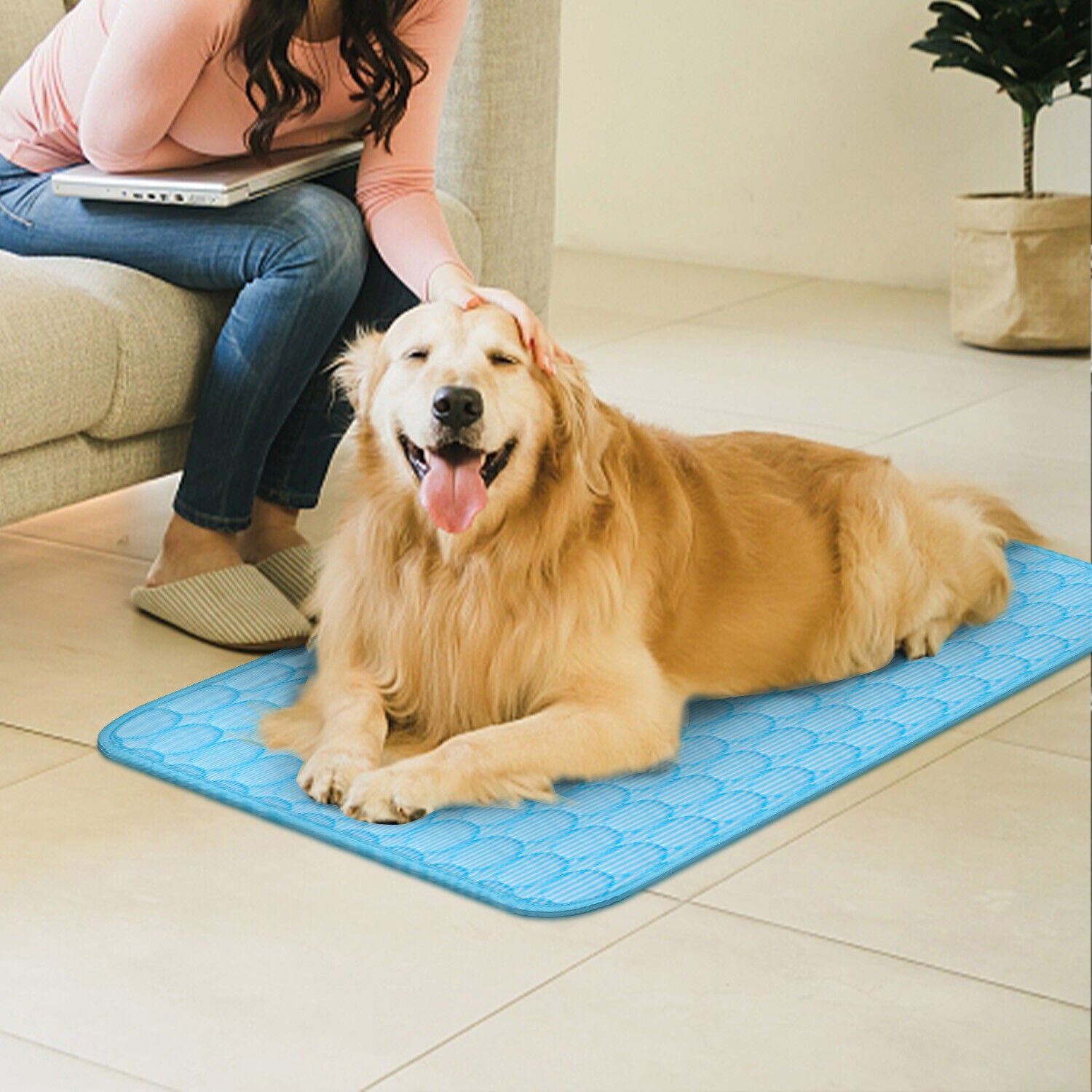 Tapis Rafraîchissant pour Animaux - Matelas Cool pour Chiens et Chats