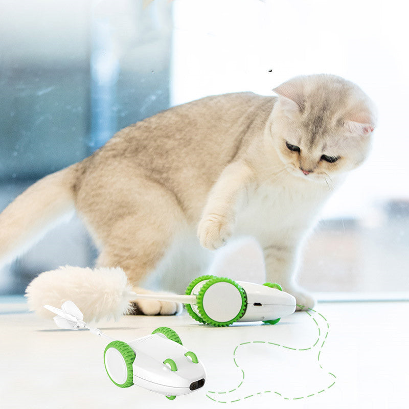 Jouet pour Chat : Tête de Remplacement avec Plume Automatique