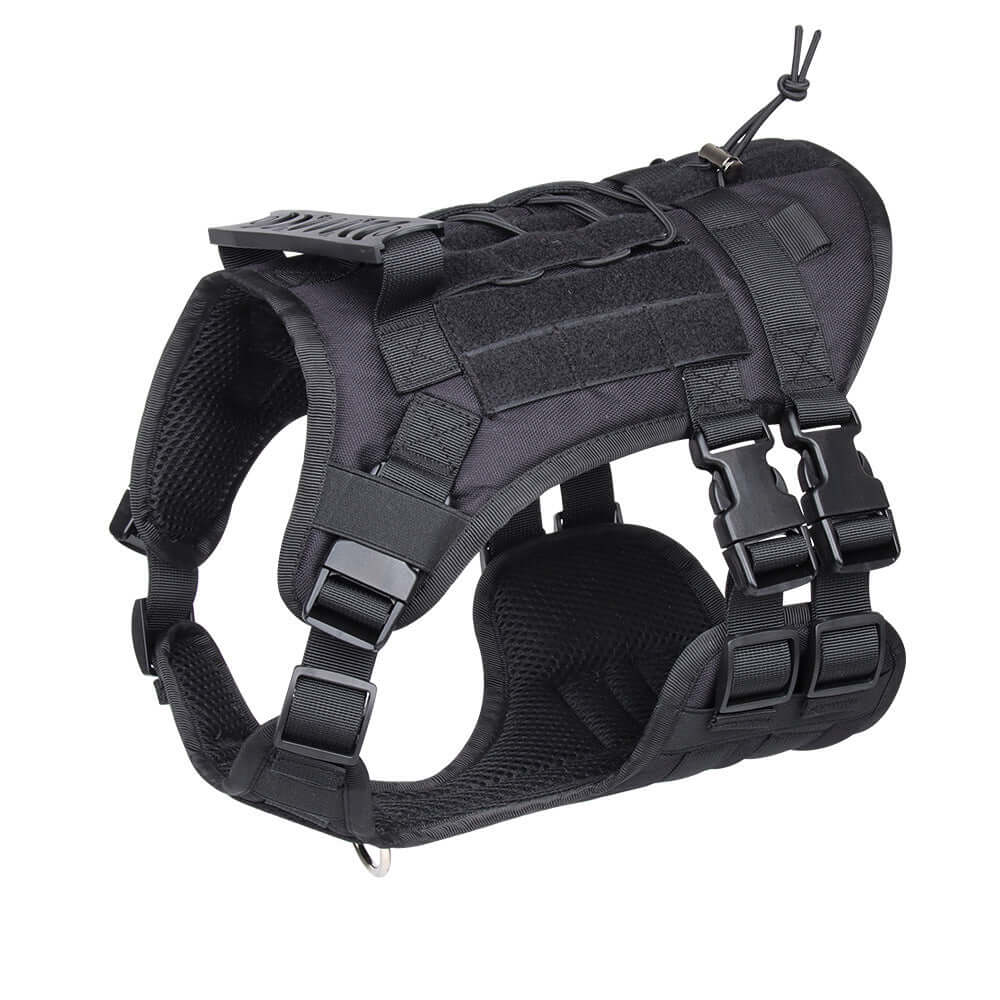 Gilet Oxford noir pour chien, confortable et durable, idéal pour les aventures en plein air.