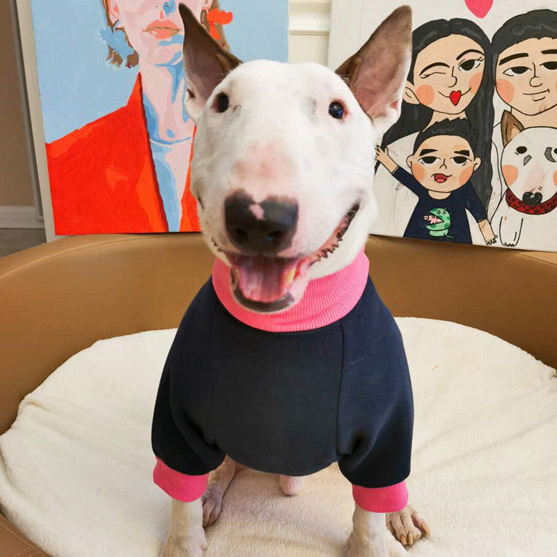 Chien heureux en Pull Fleece Fluorescent, avec col rose, dans un panier confortable.