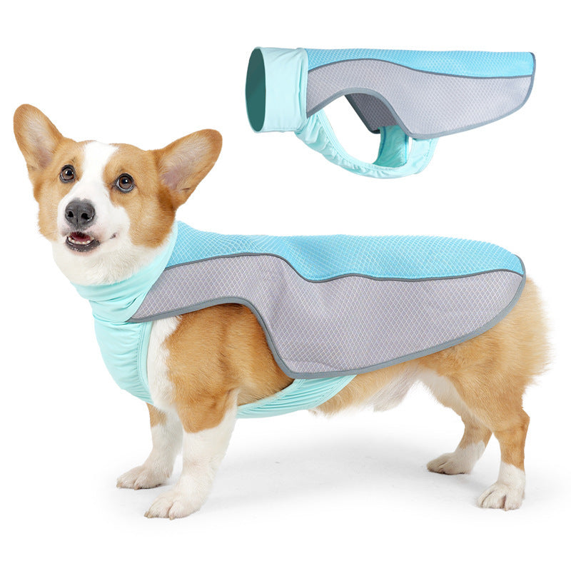 Veste rafraîchissante en polyester pour chien, idéale pour garder votre animal au frais pendant les journées chaudes.