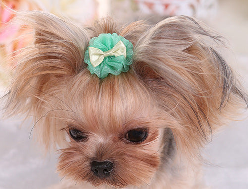 Épingle à cheveux en organza verte pour chien, ajoutant un style adorable aux looks canins.