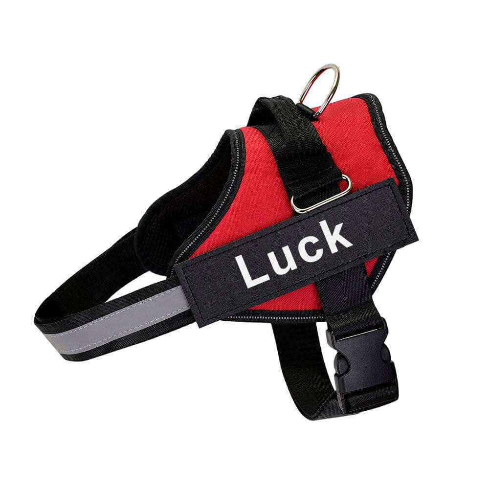 Harnais pour chien rouge avec sangle ajustable et boucle à pression pour confort et sécurité.