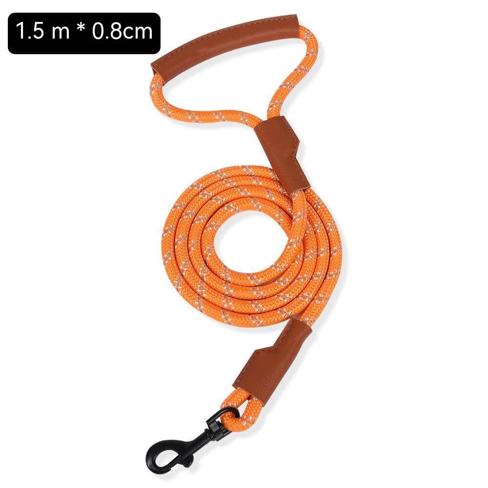 Laisse pour chien orange de 1,5 mètre avec prise confortable et solide, idéale pour les promenades quotidiennes.