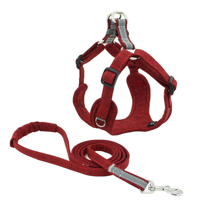 Harnais et corde de traction rouges pour chien, accessoires légers et sûrs pour promenades confortables.