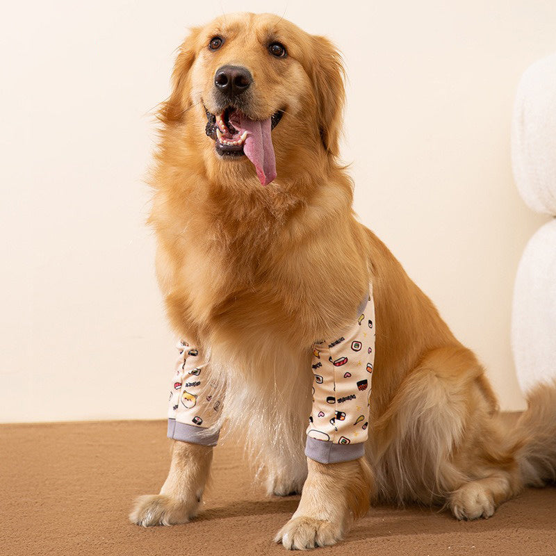 Golden retriever wearing stylish knee protectors and scarf, showcasing comfort and fashion for dogs.