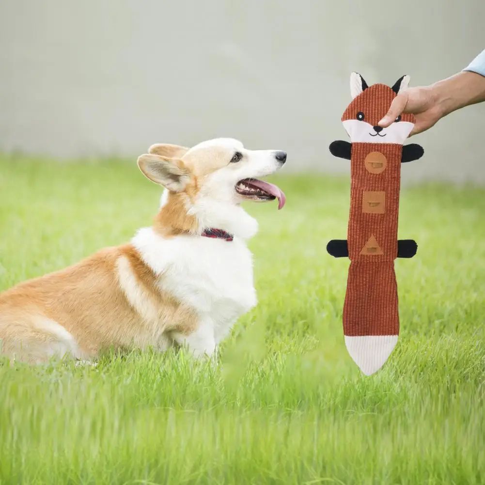 Jouet pour Chien Durable et Résistant aux Morsures