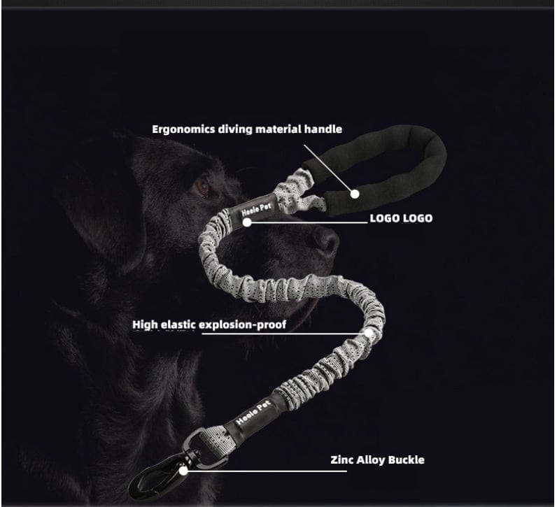 Corde de traction élastique pour chien, ergonomique, résistante, avec poignée en matériau de plongée et boucle en alliage de zinc.