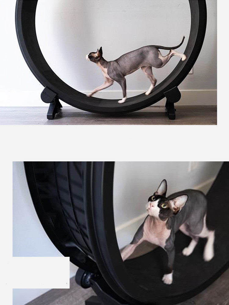 Roues de Course pour Chats - Jouets de Fitness