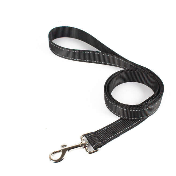 Laisse pour chien en nylon durable avec mousqueton, pour promenades confortables et sûres.