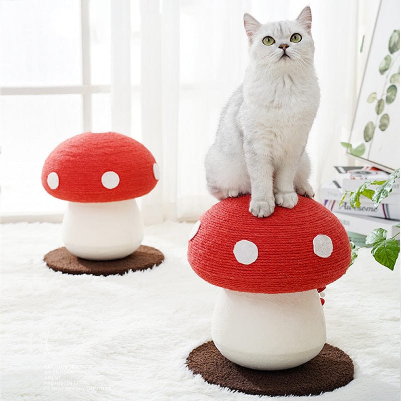 Chat gris assis sur une planche à gratter en forme de champignon rouge, décorative et interactive.