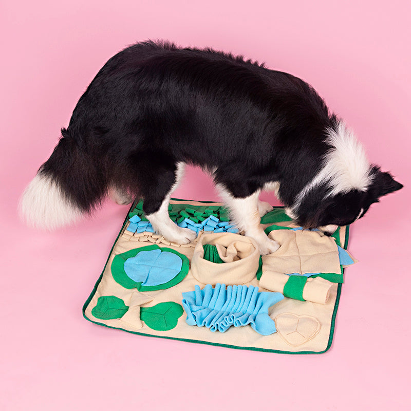 Tapis d'Enrichissement pour Chiens