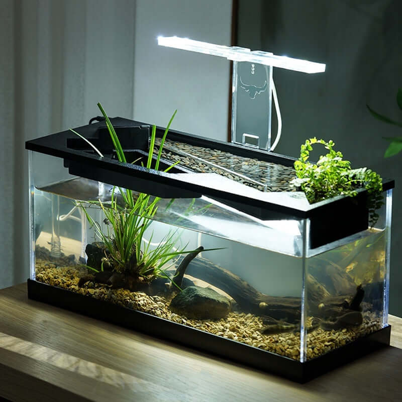 Aquarium intégré en acrylique avec filtre et éclairage, idéal pour les amateurs d'aquariophilie.