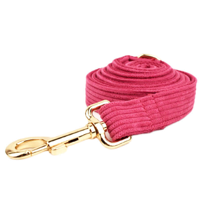 Laisse pour chien en velours rose avec attache dorée, idéale pour des promenades confortables.