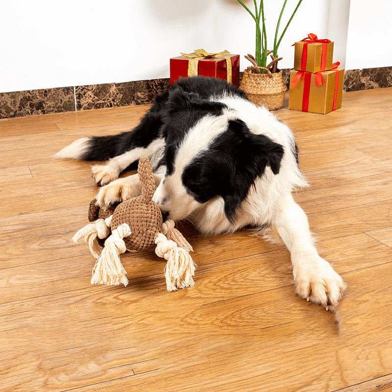 Jouet en Peluche pour Chien en Forme de Coquillage avec Squeaker