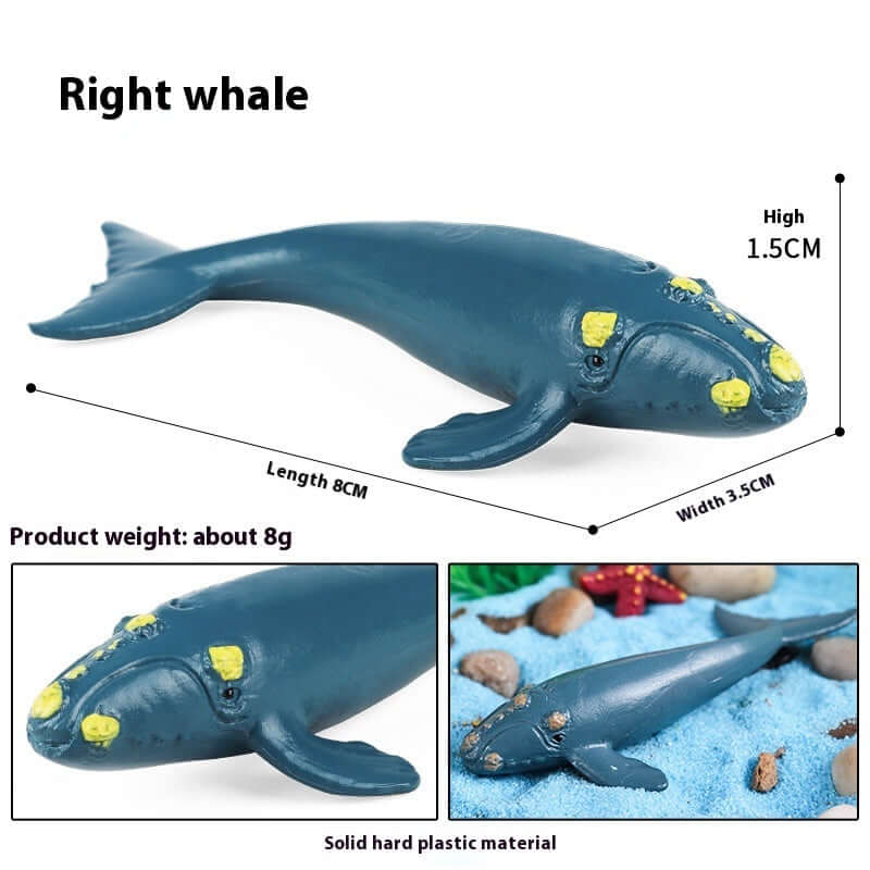 Modèle réduit de baleine droite en plastique, jouet marin éducatif pour enfants, 8 cm de long.