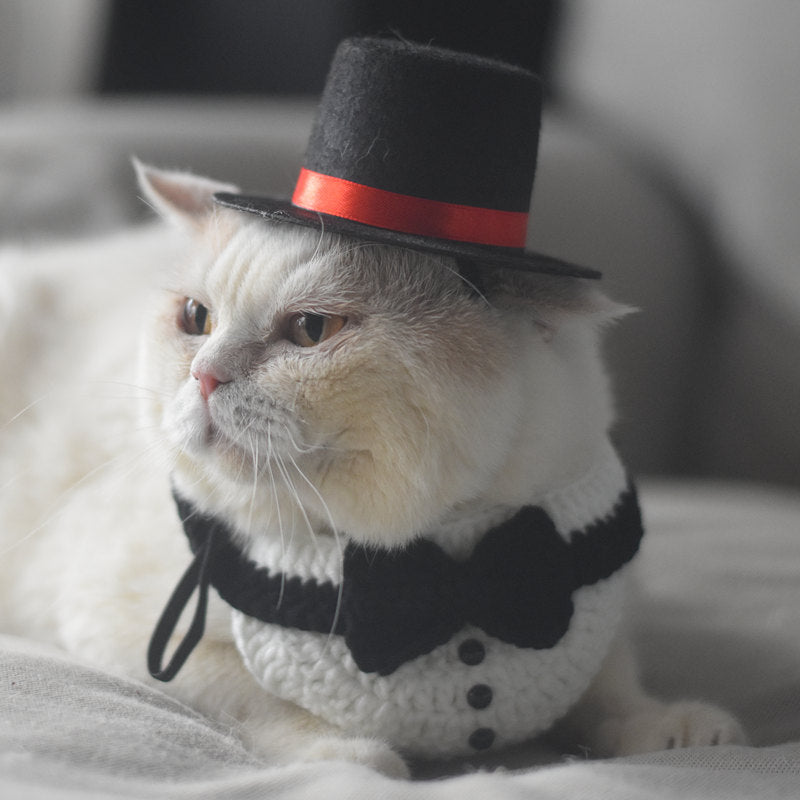 Chat portant une écharpe en tricot et chapeau haut de forme, prêt pour une occasion élégante.
