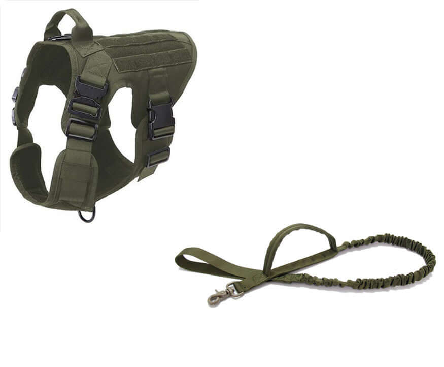 Ceinture de sécurité tactique pour chien avec laisse élastique, en nylon 1000D, coloris olive.