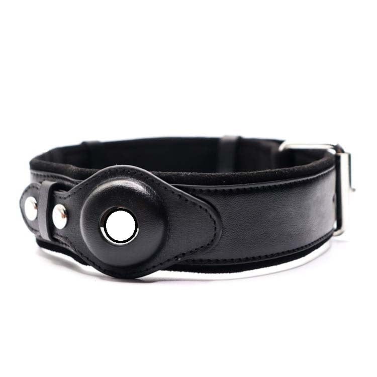Collier en cuir noir pour chien avec localisateur GPS, alliant style et sécurité pour votre animal de compagnie.