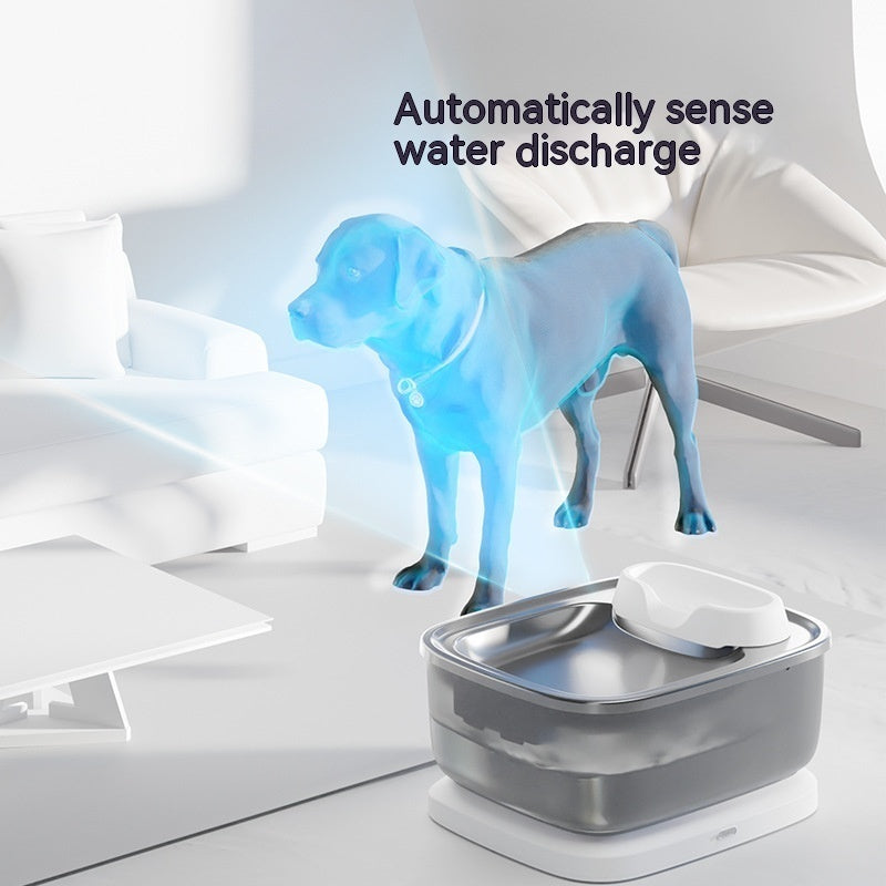Distributeur d'eau sans fil pour animaux avec détection automatique, idéal pour chiens et chats.