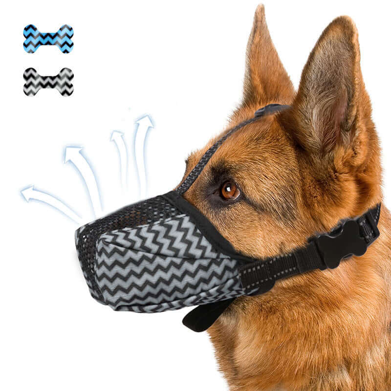 Muselière aérée pour chien, design idéal pour une respiration facile et hydratation naturelle.