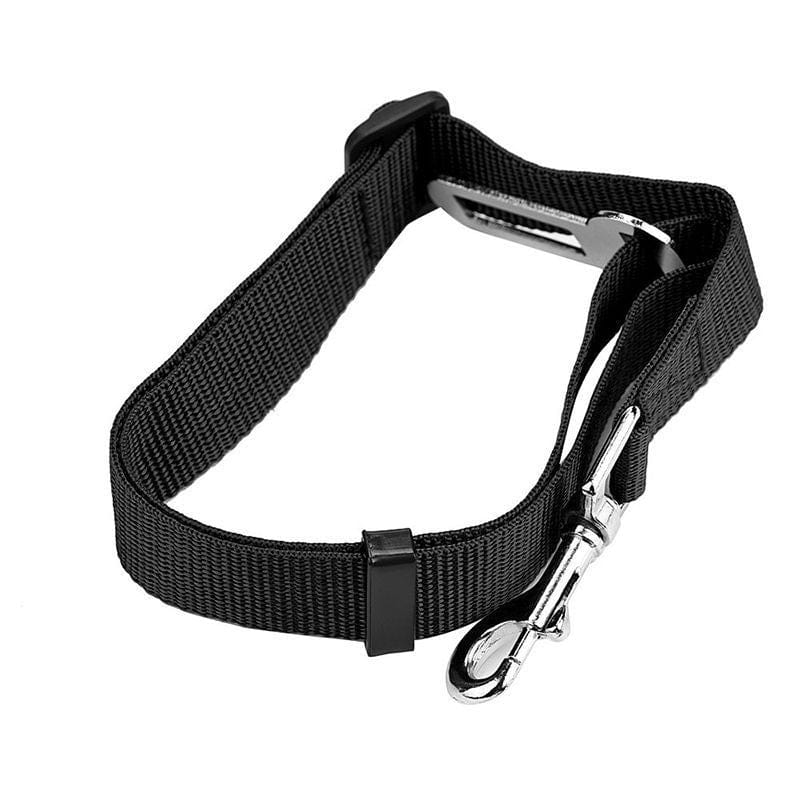 Corde de sécurité rétractable en nylon pour chien, légère et durable, couleur noire avec crochet en métal.